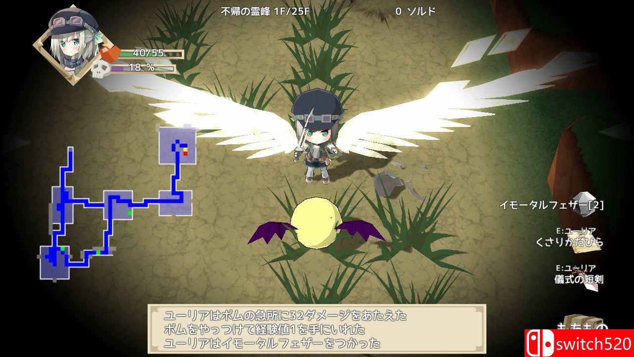 《NonetEnsemble：满载魔法的迷宫（NonetEnsemble）》DARKZER0硬盘版[CN/TW/EN/JP]_1