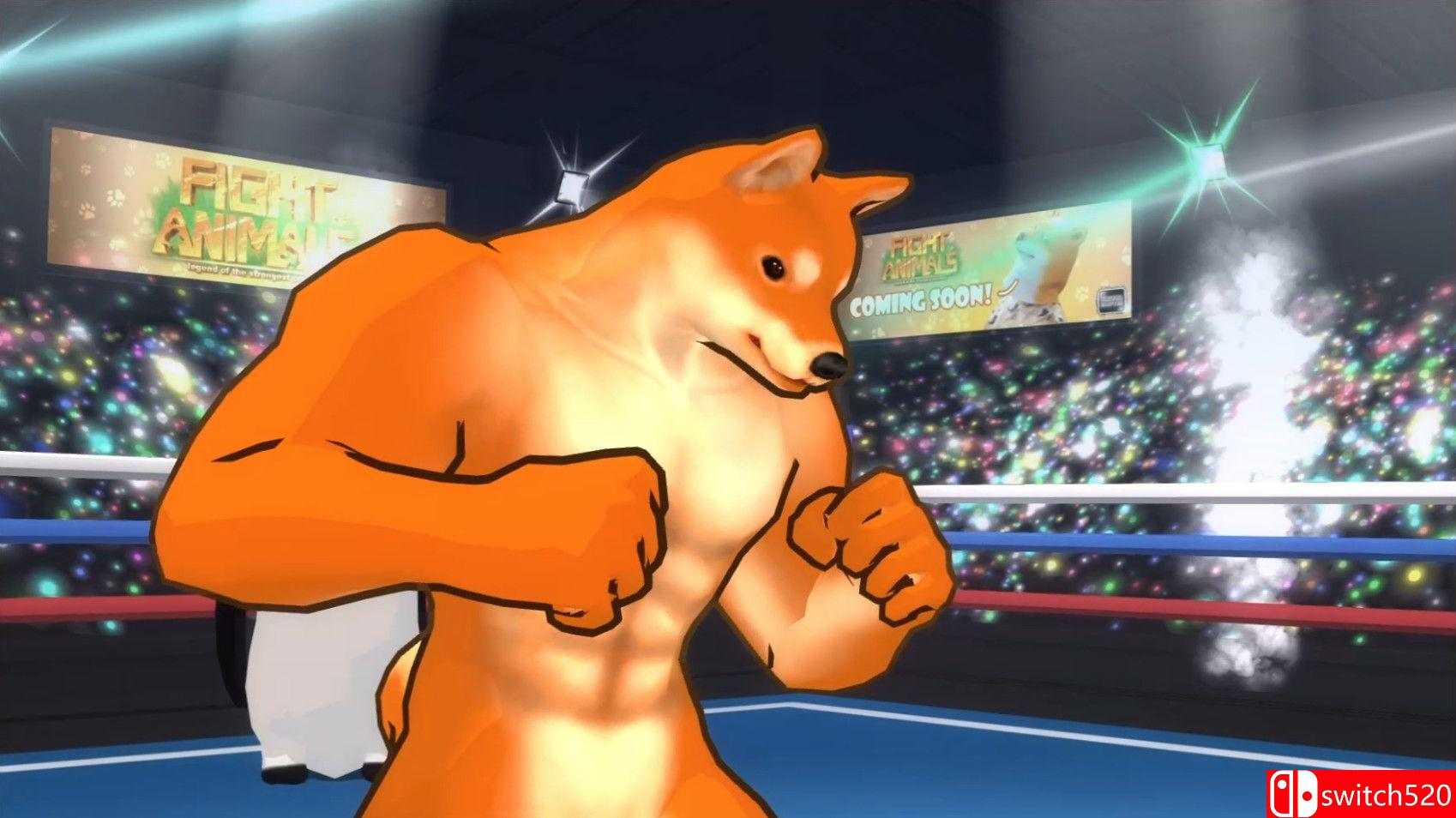 《动物之鬪（Fight of Animals）》v1.0.3 DARKZER0硬盘版[CN/TW/EN/JP]_1