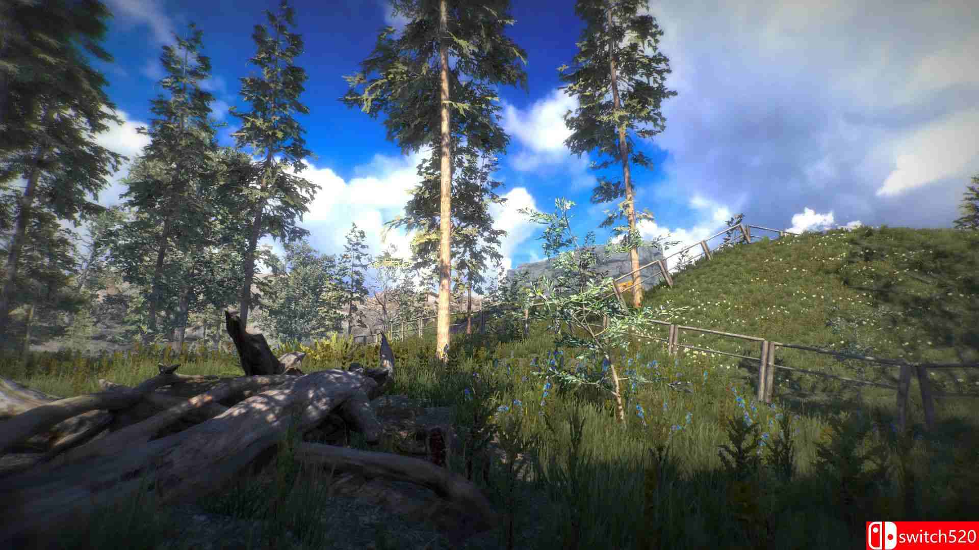 《位置（Position）》CODEX镜像版[CN/EN]_1