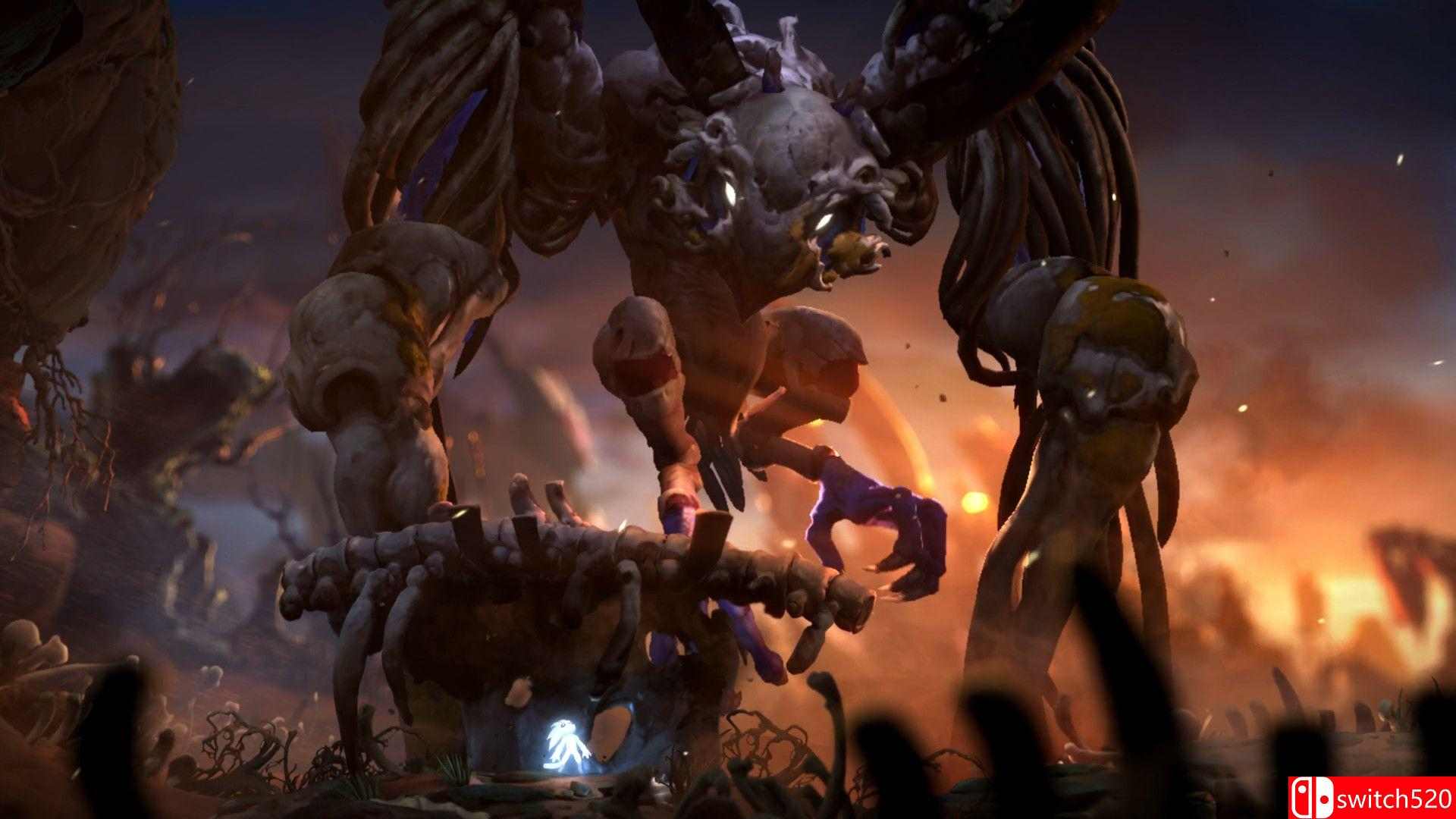 《奥日与鬼火意志（Ori and the Will of the Wisps）》Steam版 HOODLUM镜像版[CN/EN/JP]_4