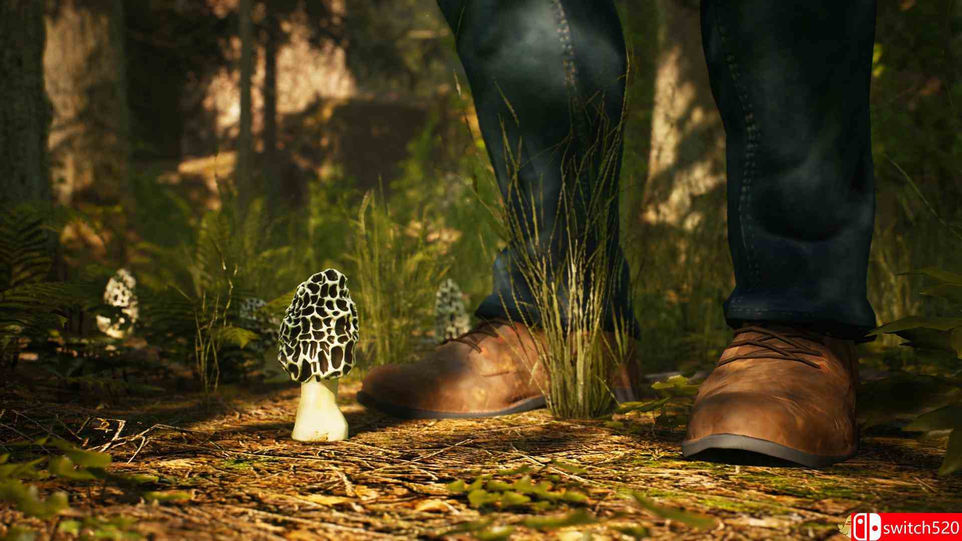 《羊肚菌：狩猎（Morels: The Hunt）》PLAZA镜像版[CN/EN]_3