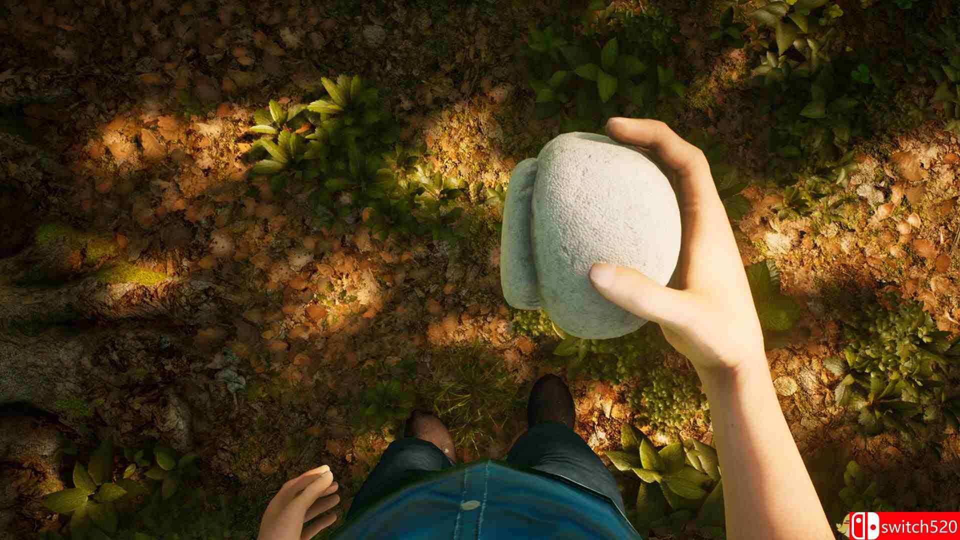 《羊肚菌：狩猎（Morels: The Hunt）》PLAZA镜像版[CN/EN]_5