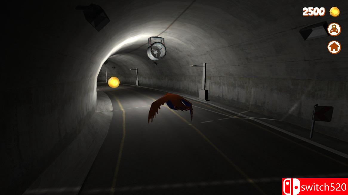 《小鸟任务（Bird Missions）》SiMPLEX硬盘版[CN/TW/EN]_3