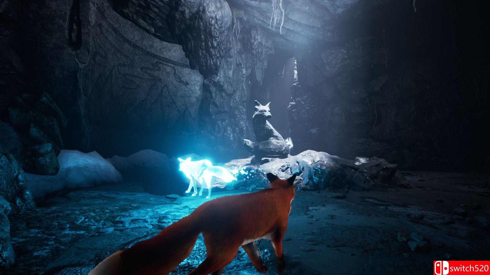 《北方之魂（Spirit of the North）》HOODLUM镜像版[CN/TW/EN/JP]_3