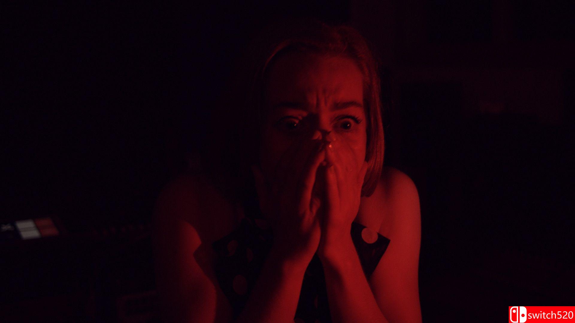 《与坡和芒罗共度黑夜（Dark Nights with Poe and Munro）》PLAZA镜像版[CN/EN]_3