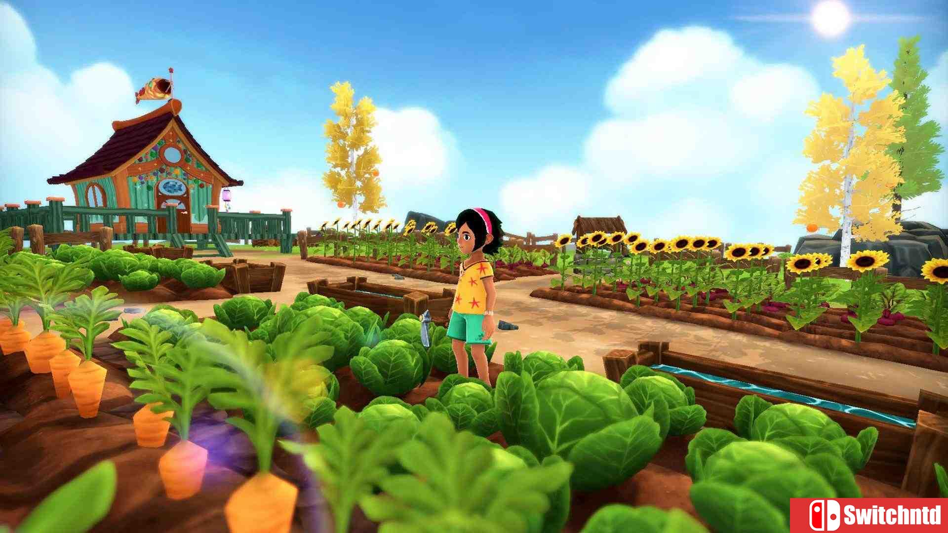 《玛拉的夏天（Summer in Mara）》v20200620 SiMPLEX硬盘版[CN/EN]_1