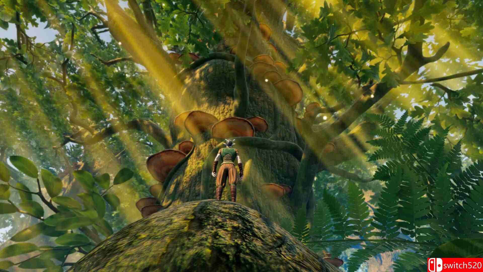 《小小世界: 原野求生（Smalland: Survive the Wilds）》v2.1.1 TENOKE镜像版[CN/EN/JP]_1