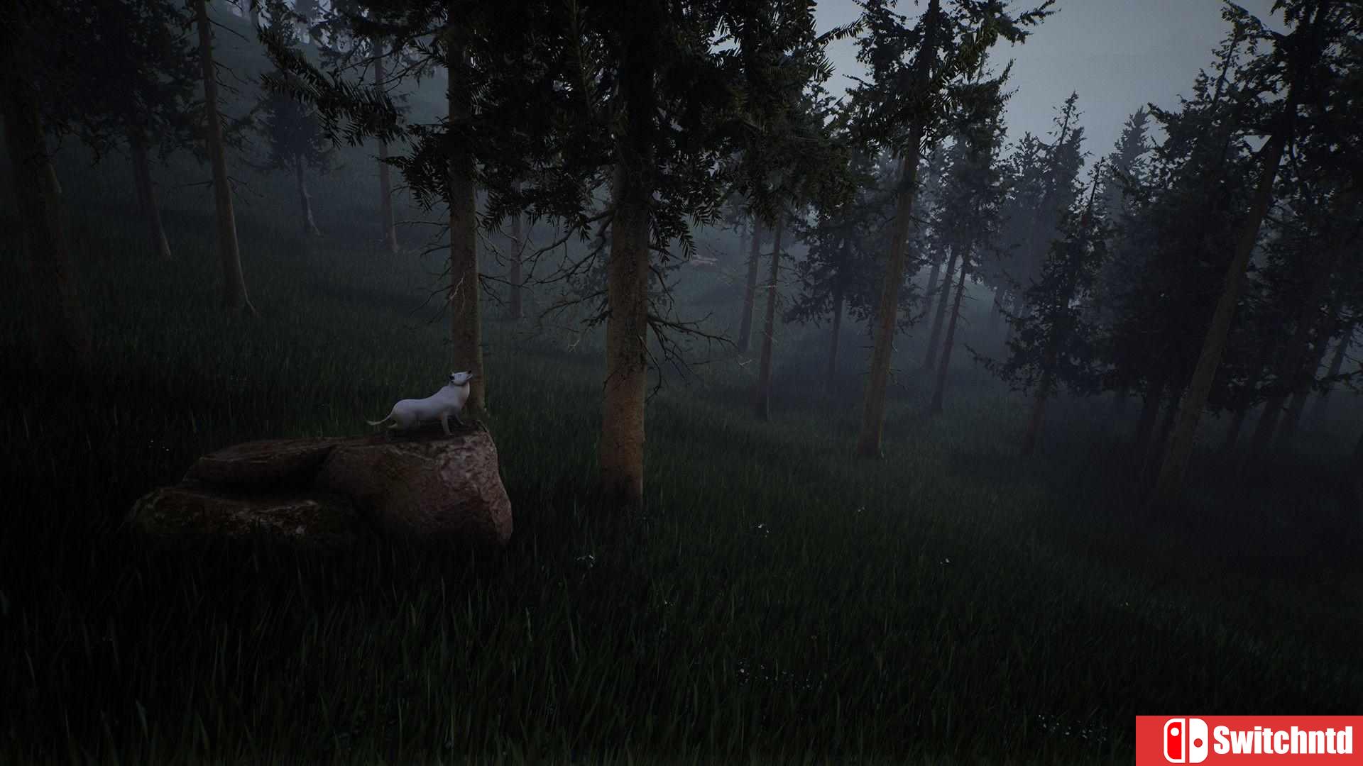 《生存主义：动物模拟（Survivalizm - The Animal Simulator）》TENOKE镜像版[EN]_1