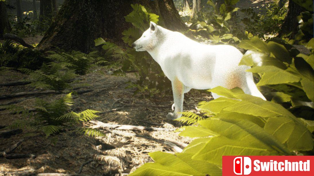 《生存主义：动物模拟（Survivalizm - The Animal Simulator）》TENOKE镜像版[EN]_5