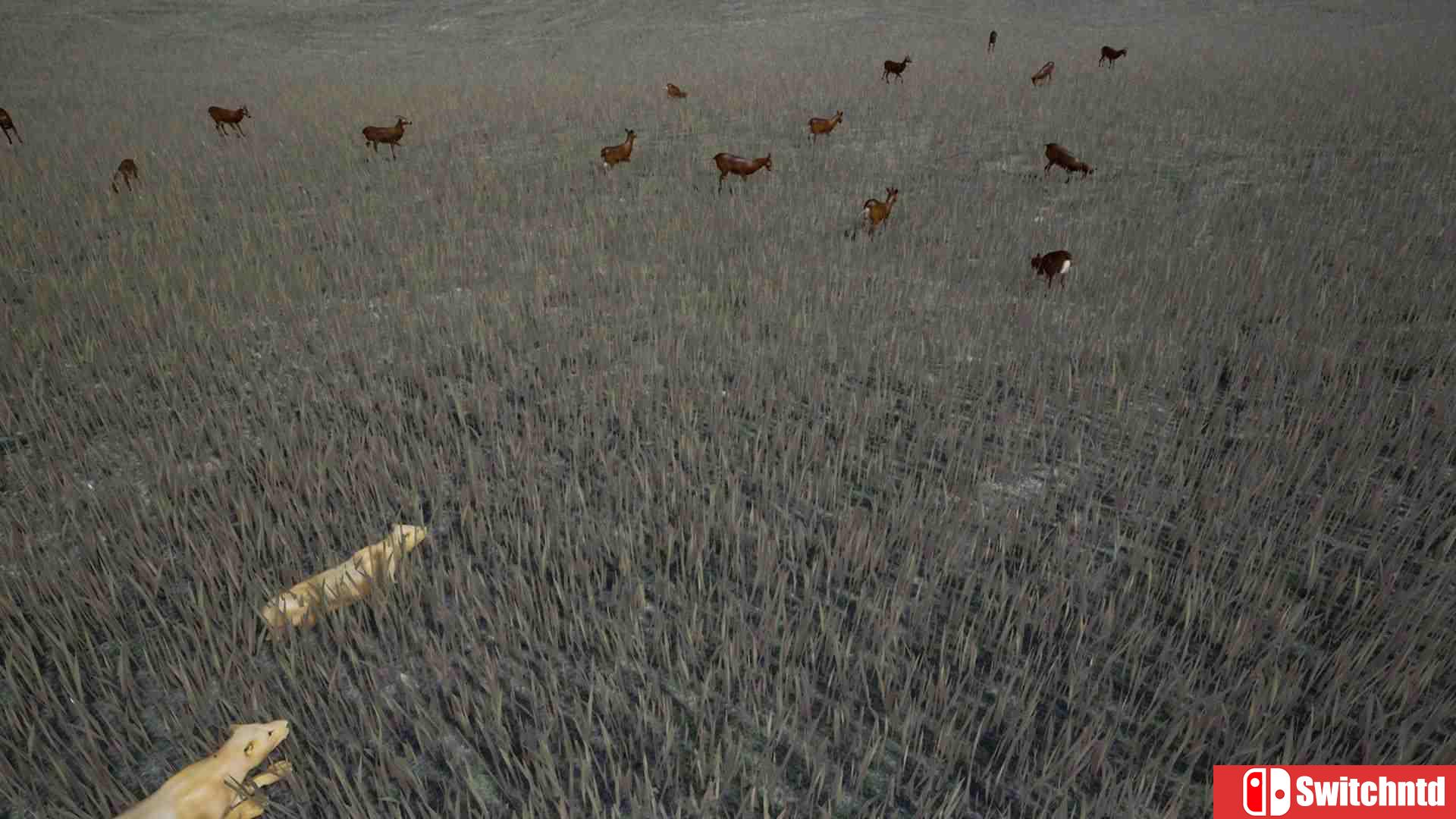 《生存主义：动物模拟（Survivalizm - The Animal Simulator）》TENOKE镜像版[EN]_3