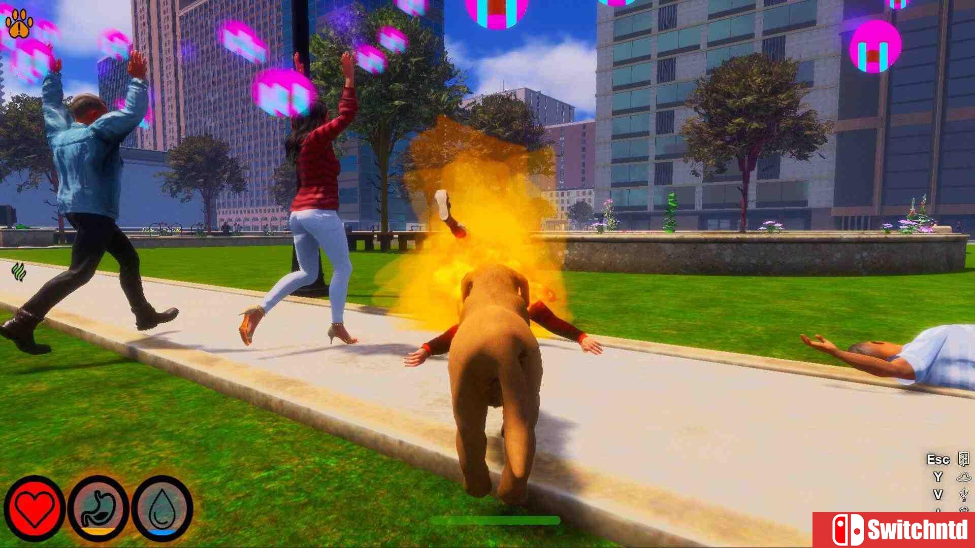 《迷途狗爪（Lost Paws）》官方中文 TENOKE镜像版[CN/EN/JP]_3