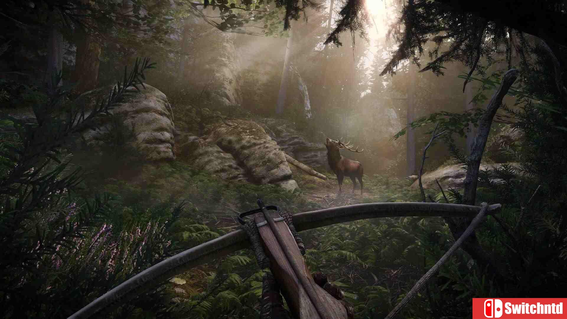 《天国：拯救2（Kingdom Come: Deliverance II）》集成教堂谜案DLC RUNE镜像版[CN/TW/EN/JP]_5