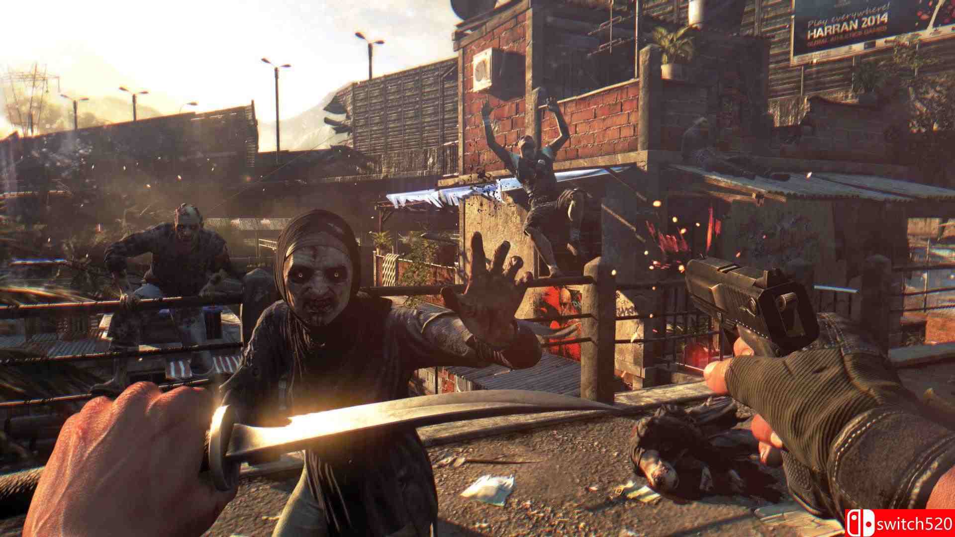 《消逝的光芒：加强版（Dying Light: EE）》v1.26 DINOByTES镜像版[CN/TW/EN]_9