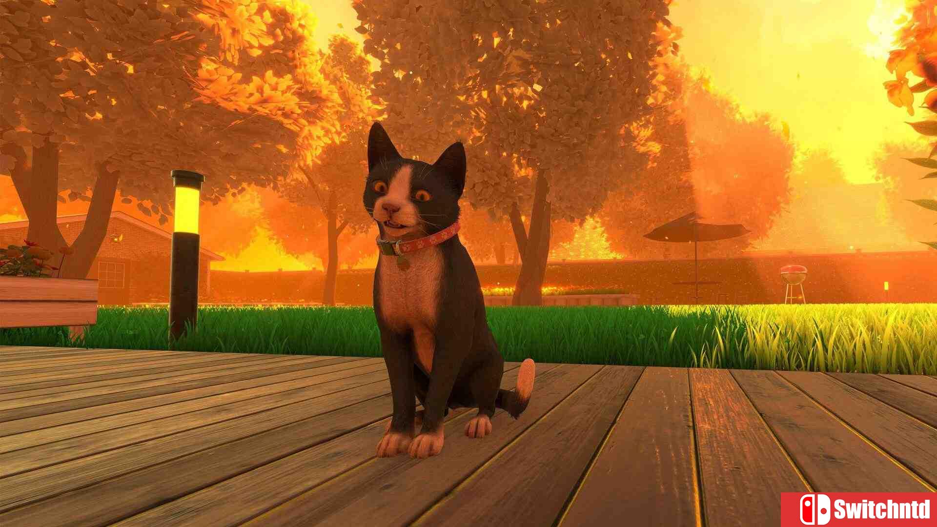 《冒牌猫谜（Copycat）》官方中文 TENOKE镜像版[CN/EN/JP]_2
