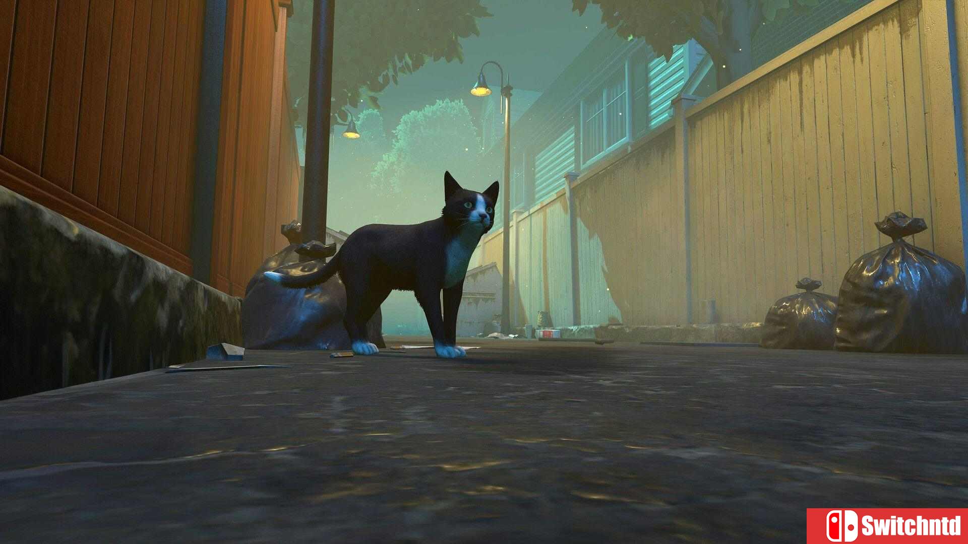 《冒牌猫谜（Copycat）》官方中文 TENOKE镜像版[CN/EN/JP]_1