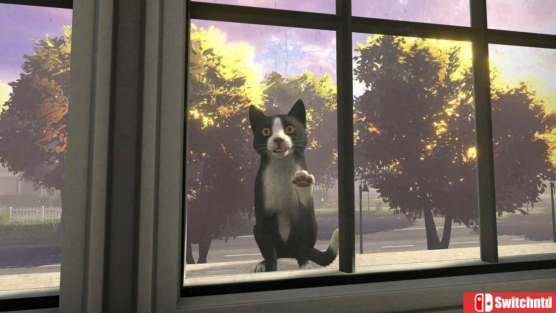 《冒牌猫谜（Copycat）》官方中文 TENOKE镜像版[CN/EN/JP]_4