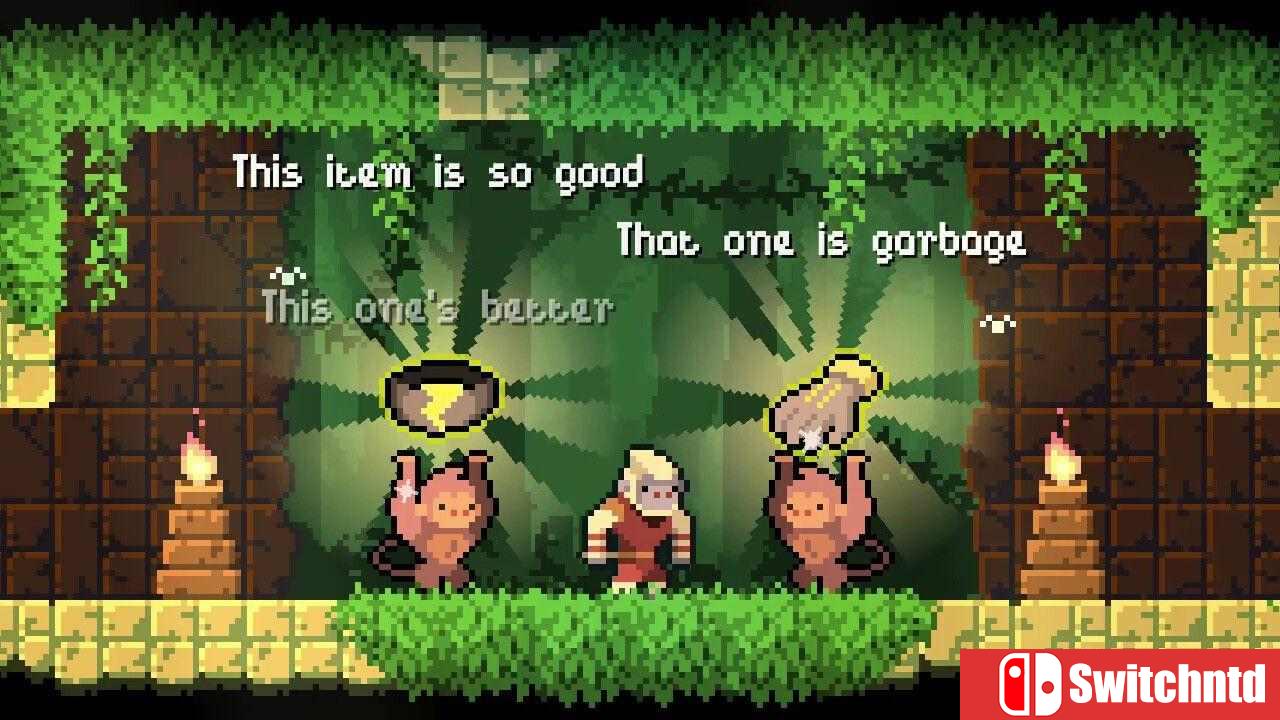 《护林猿神（Dunjungle）》官方中文 v0.1.4 P2P硬盘版[CN/TW/EN/JP]_3