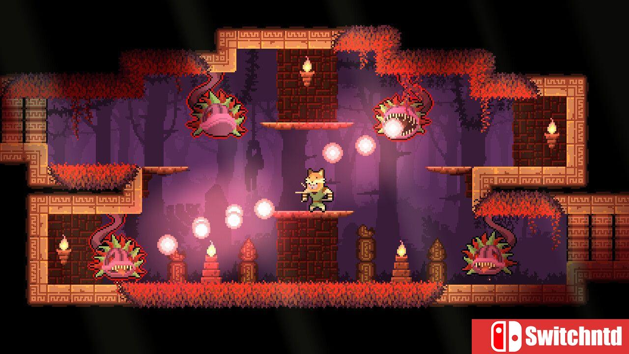 《护林猿神（Dunjungle）》官方中文 v0.1.4 P2P硬盘版[CN/TW/EN/JP]_4