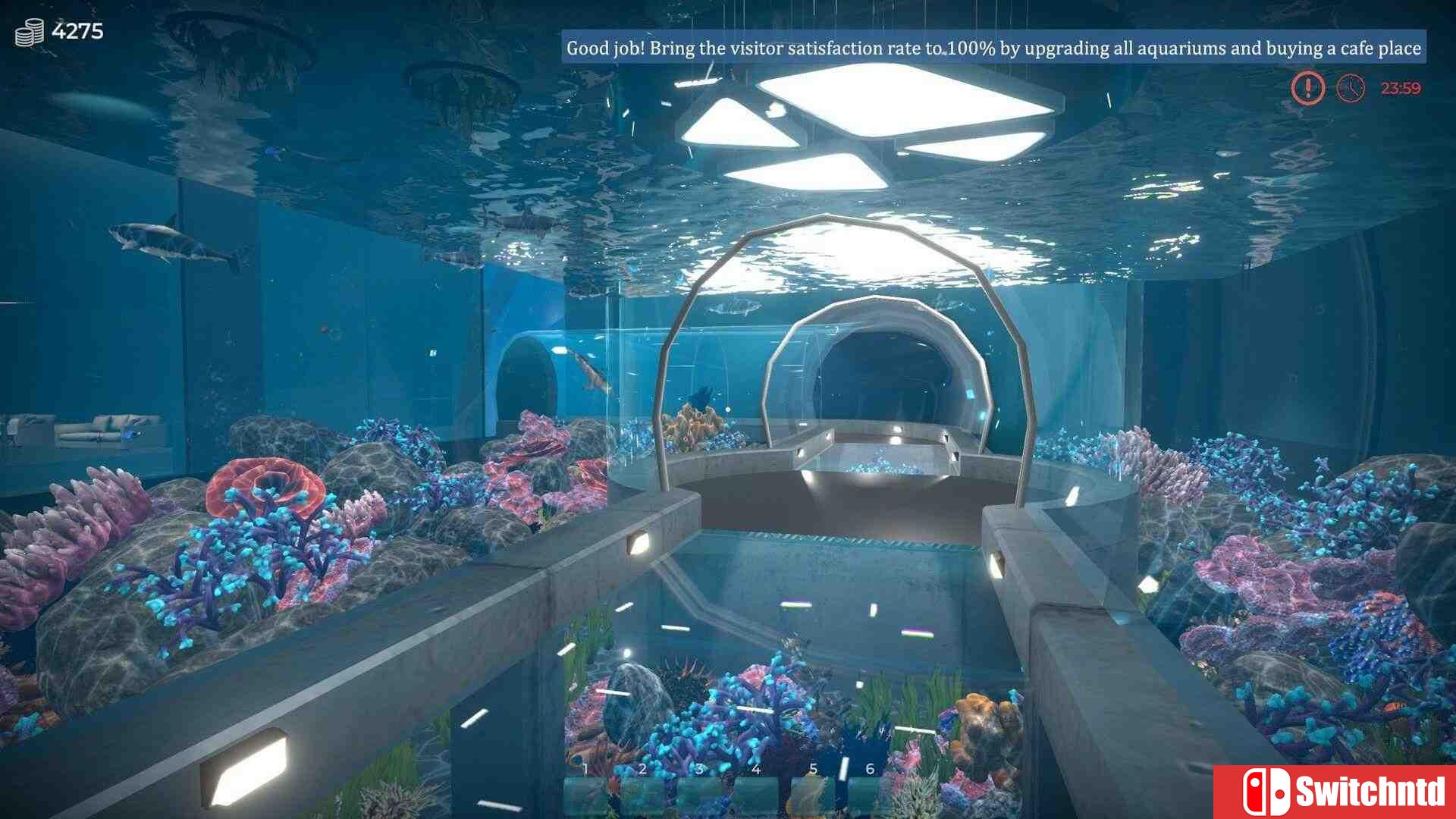 《水族馆（Aquarist）》官方中文 集成水产超市DLC TENOKE镜像版[CN/TW/EN/JP]_2