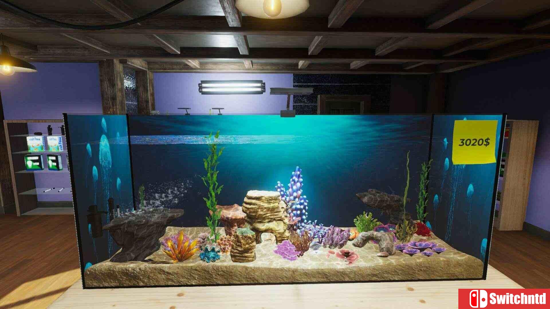 《水族馆（Aquarist）》官方中文 集成水产超市DLC TENOKE镜像版[CN/TW/EN/JP]_5