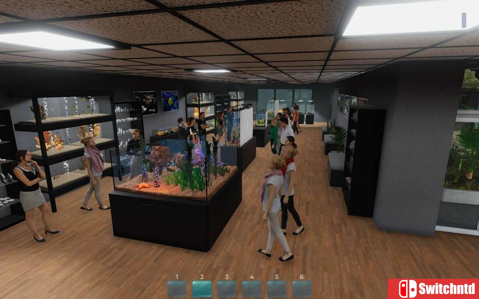 《水族馆（Aquarist）》官方中文 集成水产超市DLC TENOKE镜像版[CN/TW/EN/JP]_3
