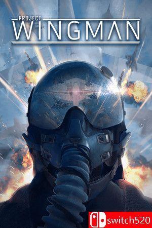 《僚机计划（Project Wingman）》官方中文 集成前线59战役DLC [中文/英文/日语]