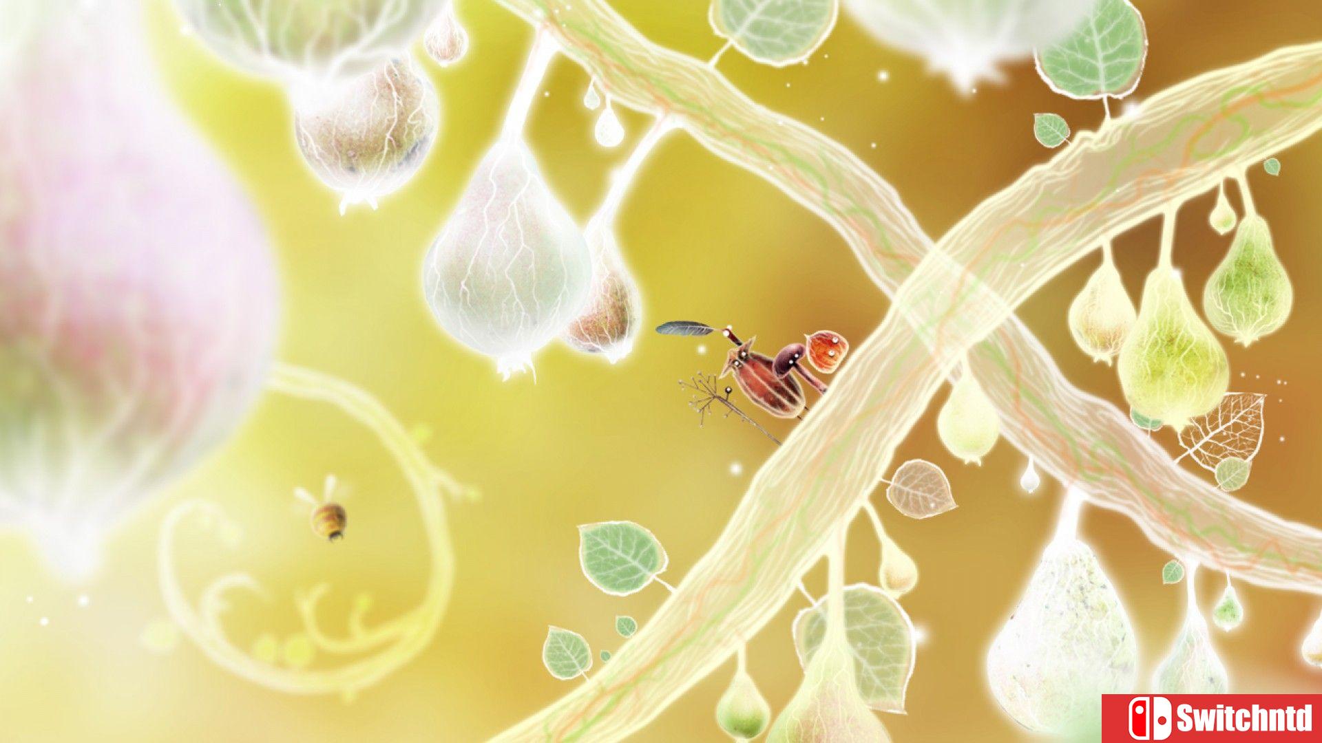 《植物精灵（Botanicula）》官方中文 v1.2.0 P2P硬盘版[CN/EN/JP]_5