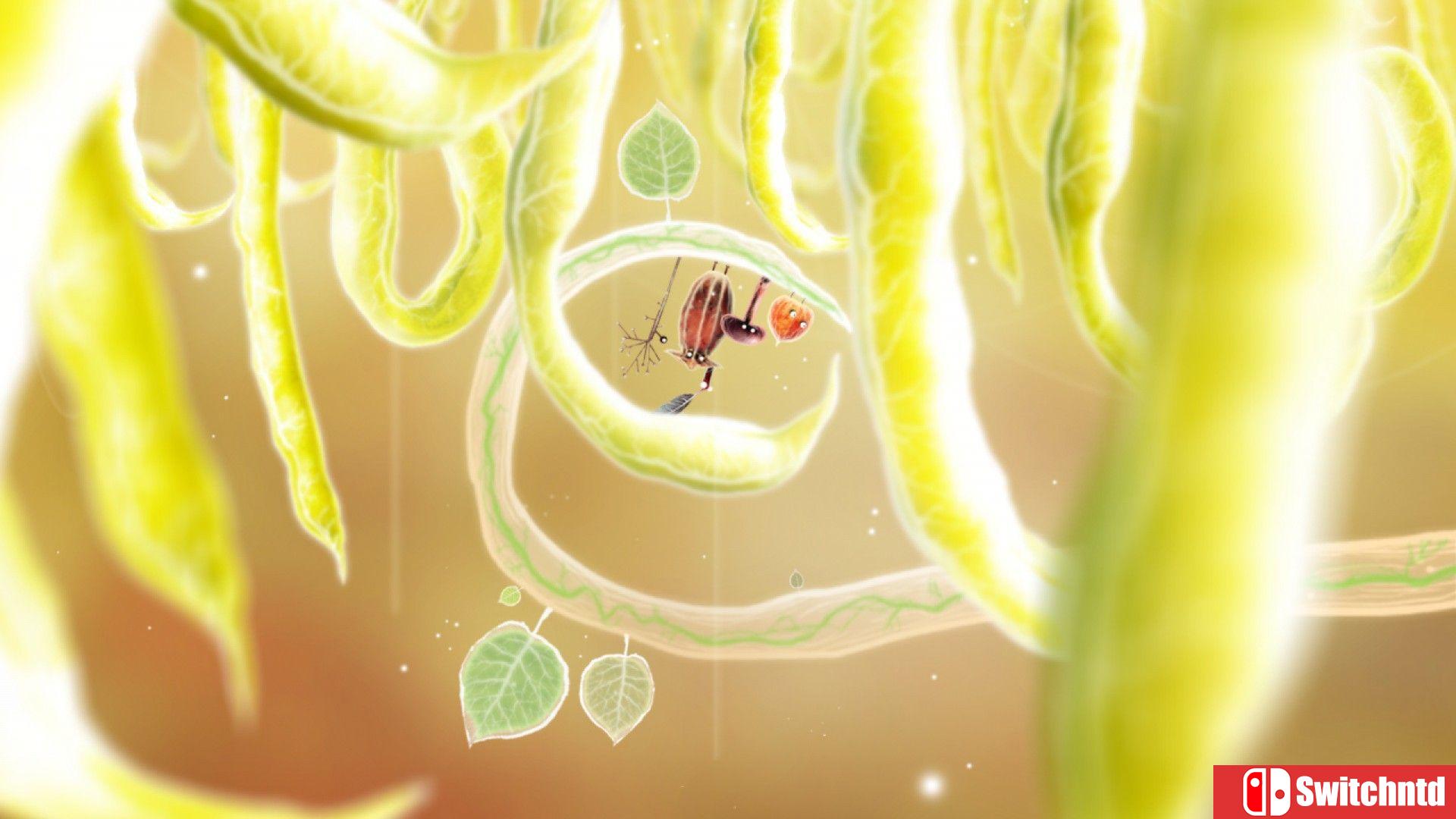 《植物精灵（Botanicula）》官方中文 v1.2.0 P2P硬盘版[CN/EN/JP]_3