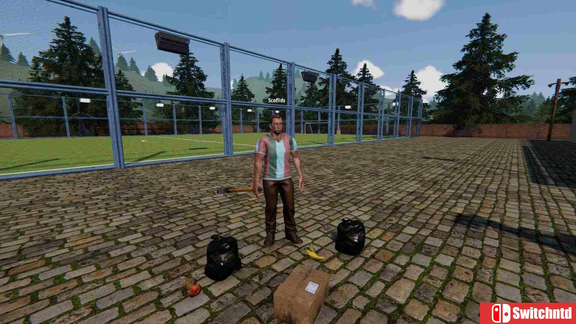 《足球场模拟器（Football Pitch Simulator）》官方中文 Build 20362264 P2P硬盘版[CN/EN/JP]_2