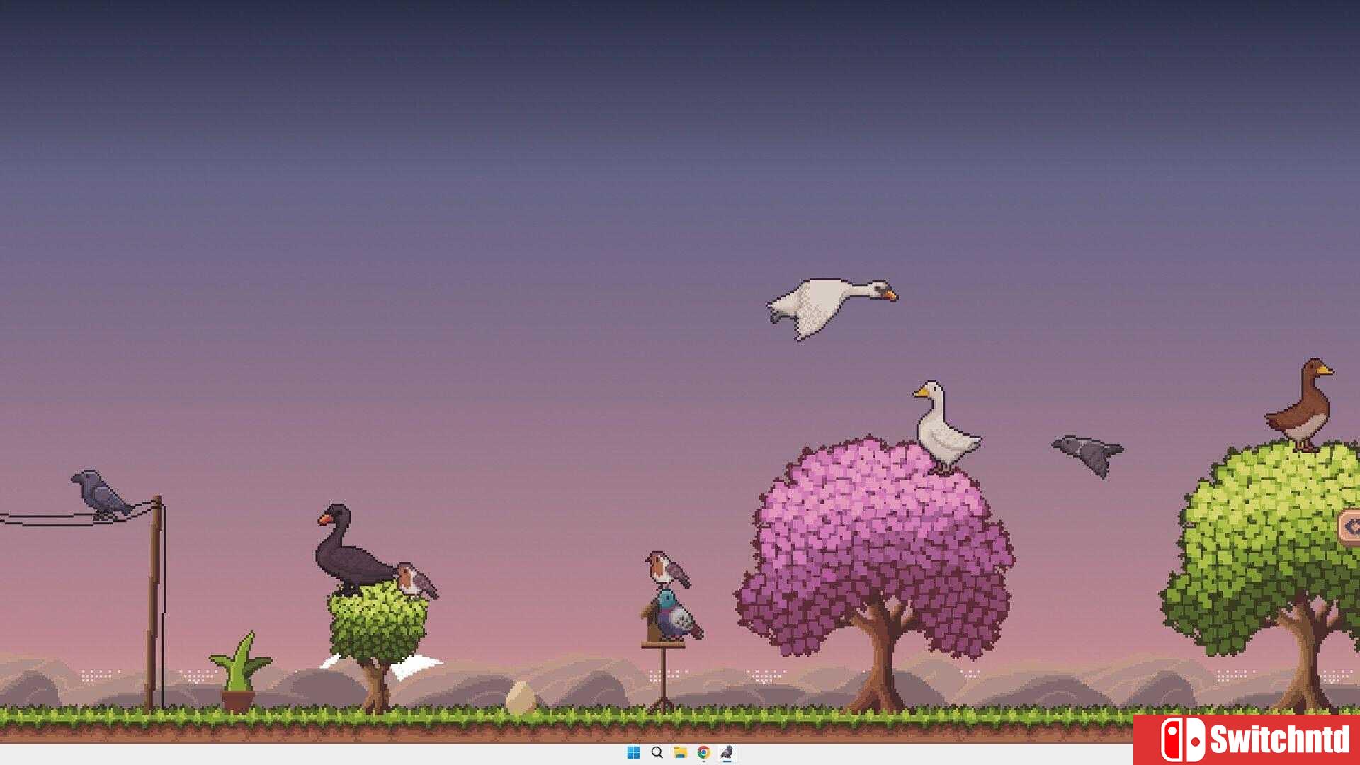 《桌面鸟舍：小小鸟陪你摸大鱼（Little Aviary）》官方中文 Build 20979999 P2P硬盘版[CN/TW/EN/JP]_5