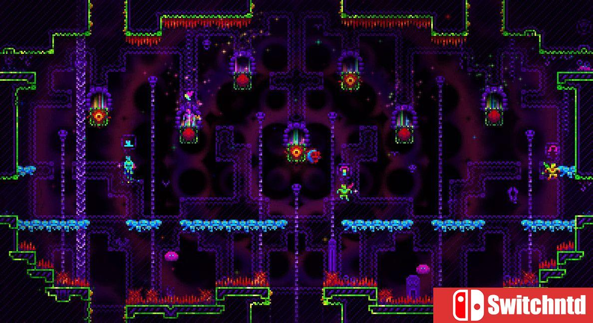 《斯特雷玛（Straima）》Build 21687792 P2P硬盘版[EN]_5