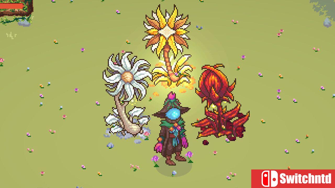 《花灵法师：种子与魔法（FloraMancer : Seeds and Spells）》B.20119114 P2P硬盘版[EN/JP]_1