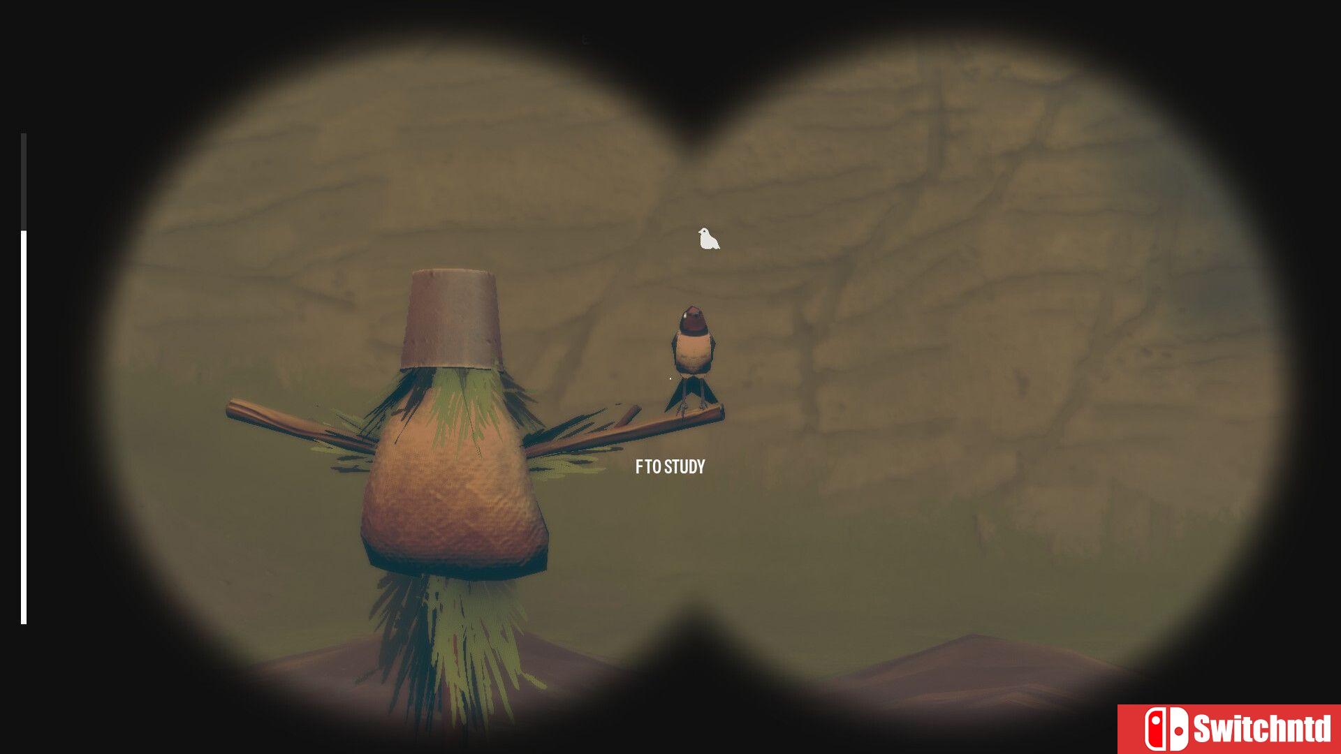《观鸟（Birds Watching）》Build 22242452 P2P硬盘版[EN]_2