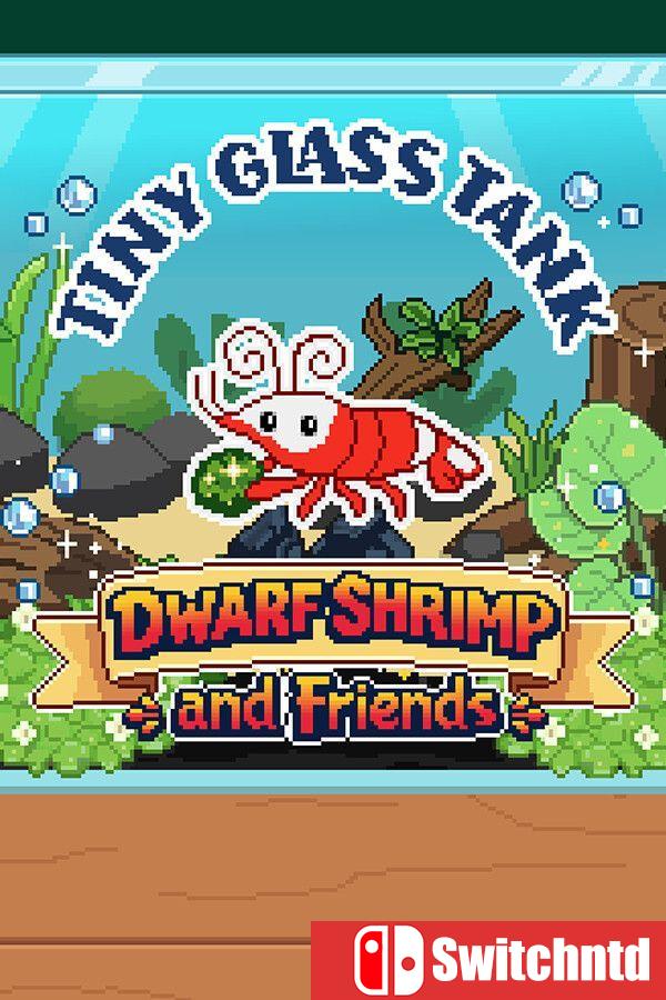 《微型玻璃缸：观赏虾与小伙伴们（Tiny Glass Tank: Dwarf Shrimp and Friends）》[英文]